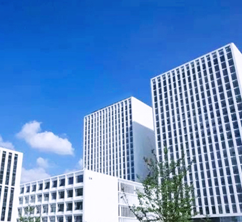 Baisifu Company Overview