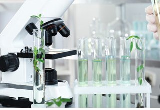 Microscope analysis of cooling agent purity at Baisifu laboratory